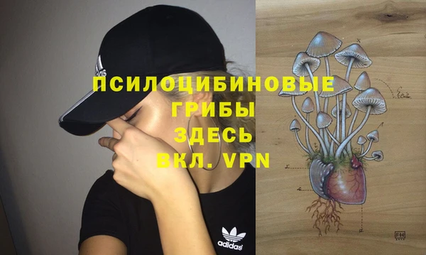 бошки Алзамай